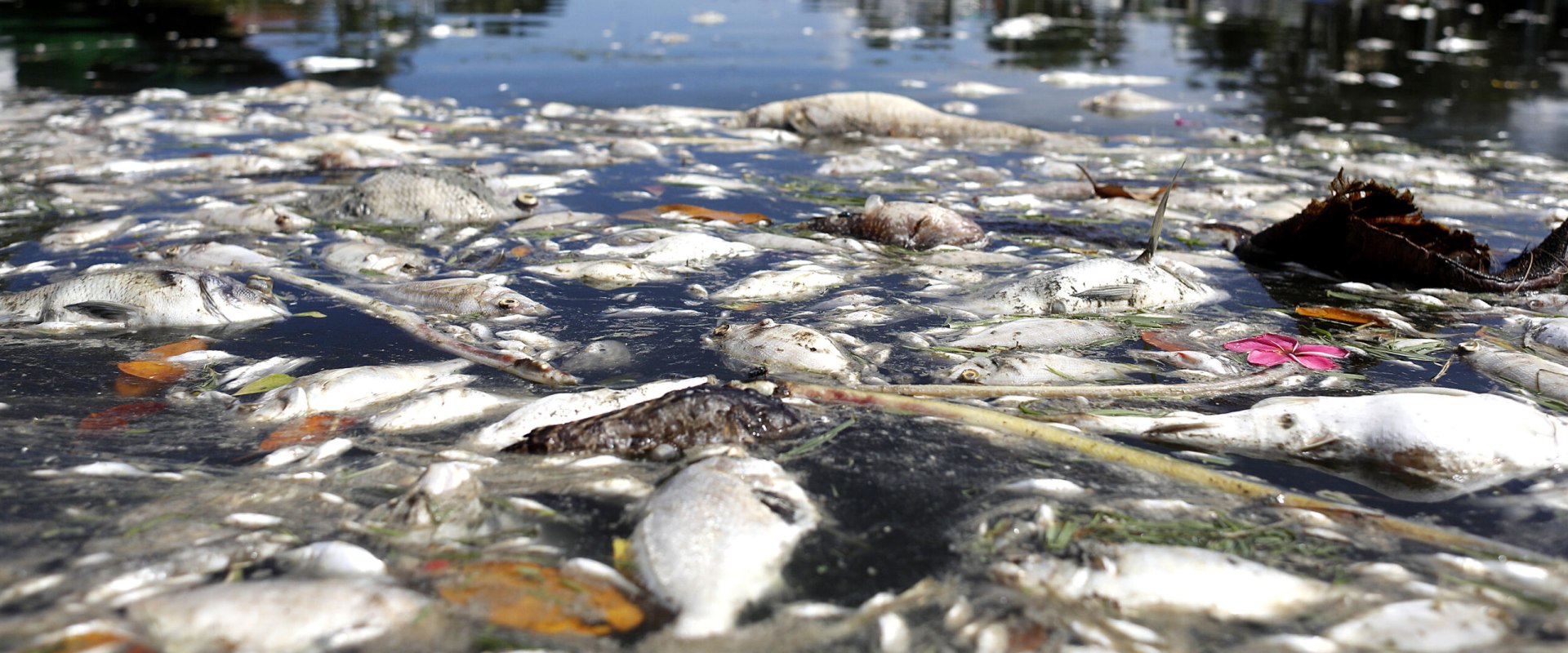 Understanding the Political Climate in Bay County, Florida