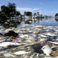 Understanding the Political Climate in Bay County, Florida