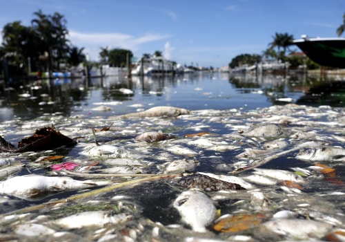 Understanding the Political Climate in Bay County, Florida